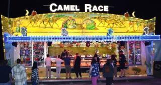 Camel Race